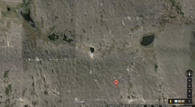 Screen Shot 2016-02-29 at 1.12.48 PM